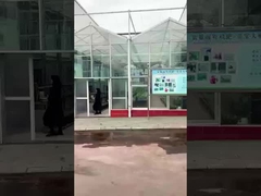 シチュアン・シホングアミノ酸工場 - ルル