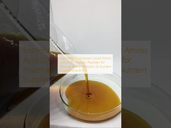 酵素化水解液体アミノ酸 50% タンパク質ペプチド 薬剤,生物発酵および栄養サプリメント 8-0-0