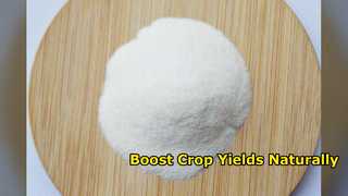 OMRI 登録コラーゲン生物刺激剤で作物の収量を増やす
