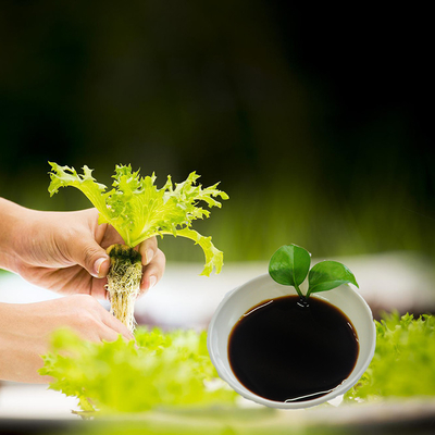 Organic Foliar Fertilizer Amino Acid Chelated Ca Mg Liquid Crop Fertilizers