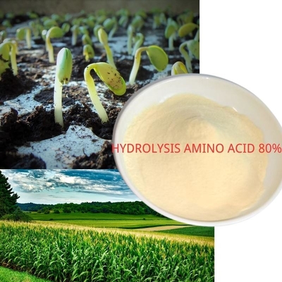 Hydrolysis Animal Amino Acid Powder 80% Water Soluble Fertilizer N14 For Plants