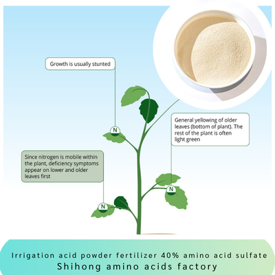 Irrigation Acid Powder Fertilizer Amino Acid 45% Sulfate Chloride Free for Landscape Fruits Potatoes