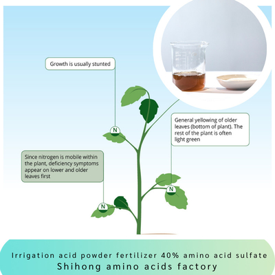 Irrigation Acid Powder Fertilizer Amino Acid 45% Sulfate Chloride Free for Landscape Fruits Potatoes