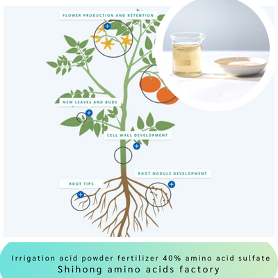 Irrigation Acid Powder Fertilizer Amino Acid 45% Sulfate Chloride Free for Landscape Fruits Potatoes
