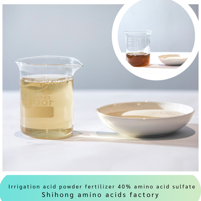 Irrigation Acid Powder Fertilizer Amino Acid 45% Sulfate Chloride Free for Landscape Fruits Potatoes