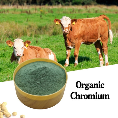 8% Chromium Amino Acid Organic Protein Animal Feed Additive Green Powder CAS7440-47-2