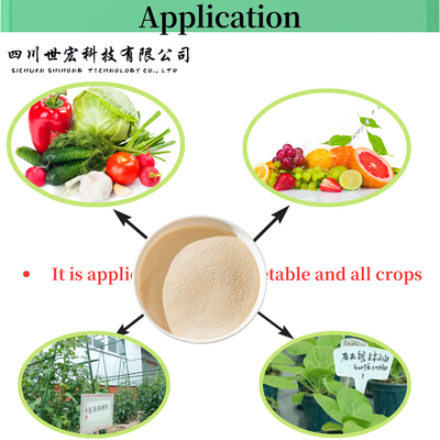 Plant Origin Hydrolyzed Amino Acid Powder 80% Free Amino Acid 75-80%