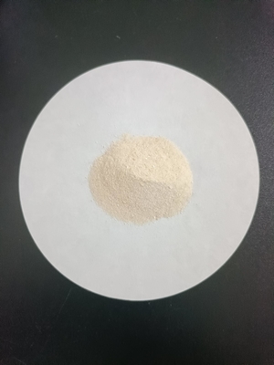 Plant Based Soy Protein Hydrolysate 85% Amino Acid Powder For Liquid Formulation Raw Material