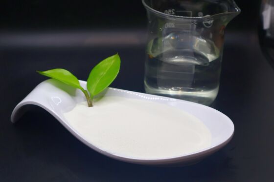 High Protein Hydrolyzed Bovine Collagen Peptide with 10% Hydroxyproline and Strict Molecular Weight Control Under 3000 Daltons