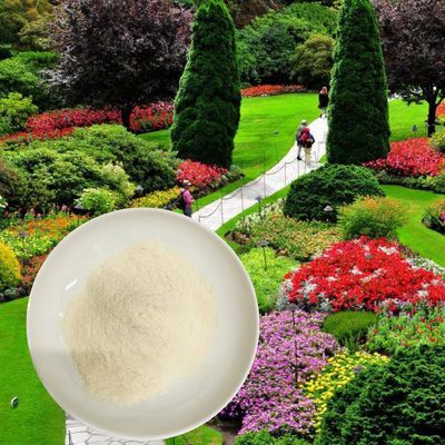 Drip Irrigation Agricultural Fertilizer Of Compound Amino Acid Powder 52%
