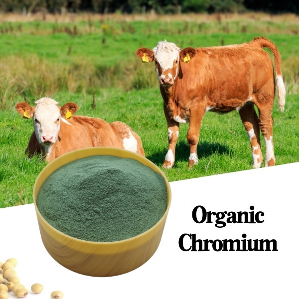 8% Chromium Amino Acid Organic Protein Animal Feed Additive Green Powder CAS7440-47-2