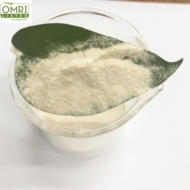 Plant Nutrients PH 4-6 Enzymatic Amino Acid N16 Amino Acid Powder Organic Nitrogen Chlorine Free